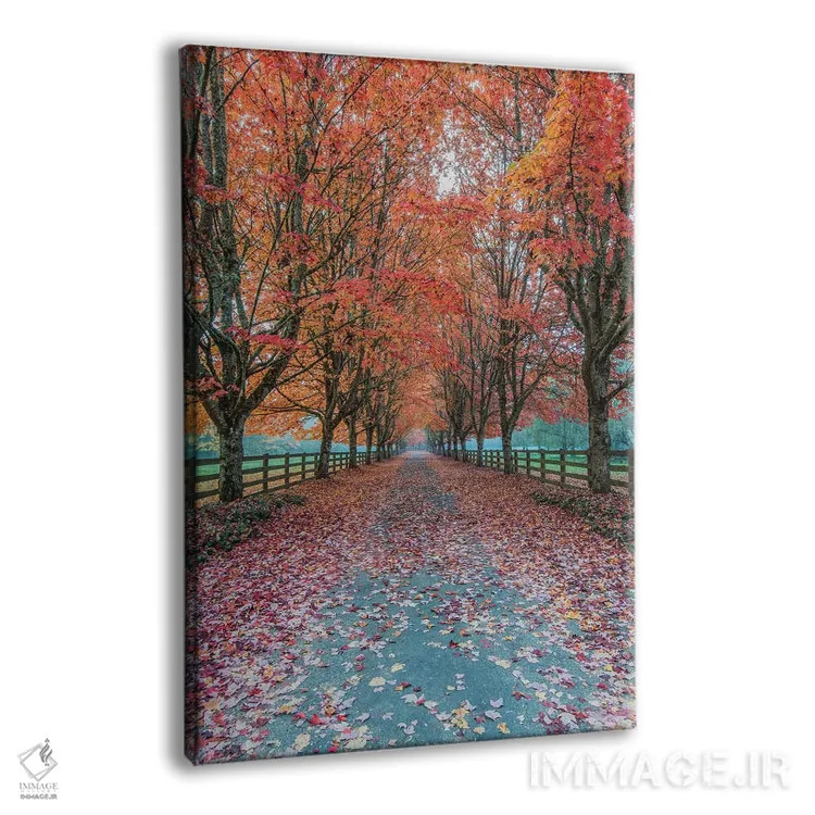 تابلو دکوراتیو Washington State, Snoqualmie. Autumn country lane.,آمریکا، ایا… اثر راب تیلی - نمای پرسپکتیو محصول