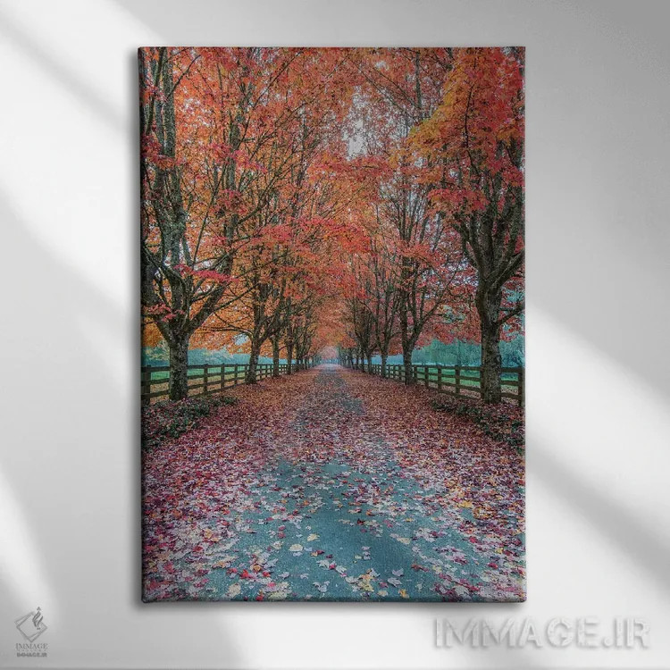 تابلو دکوراتیو Washington State, Snoqualmie. Autumn country lane.,آمریکا، ایا… اثر راب تیلی - نمای روبهرو روی دیوار