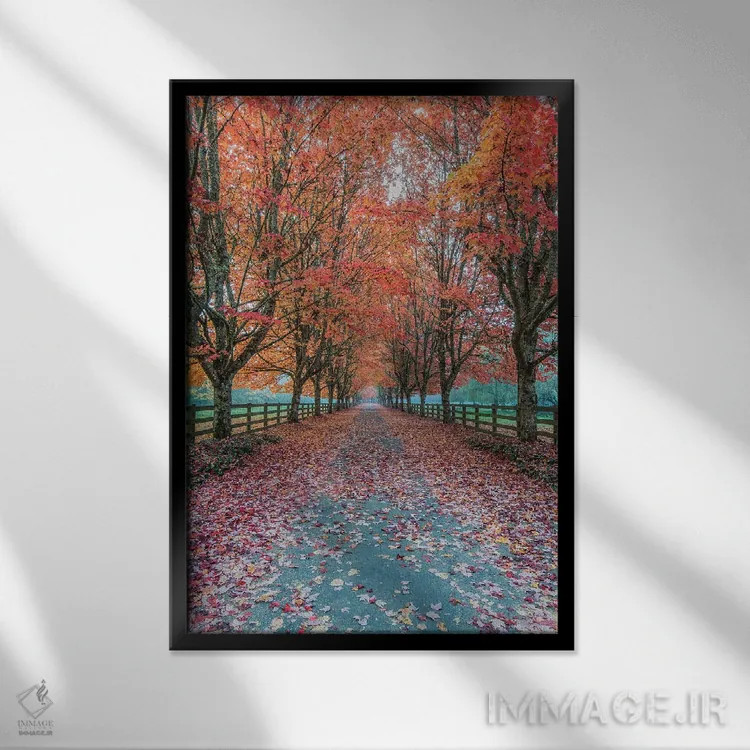 تابلو دکوراتیو Washington State, Snoqualmie. Autumn country lane.,آمریکا، ایا… اثر راب تیلی - نمای قابدار مشکی