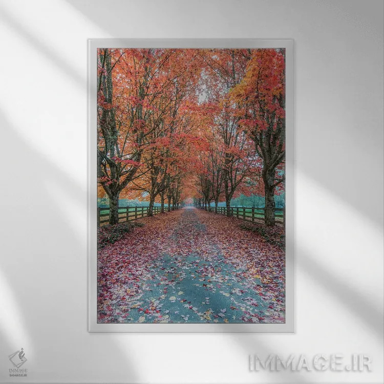 تابلو دکوراتیو Washington State, Snoqualmie. Autumn country lane.,آمریکا، ایا… اثر راب تیلی - نمای قابدار سفید