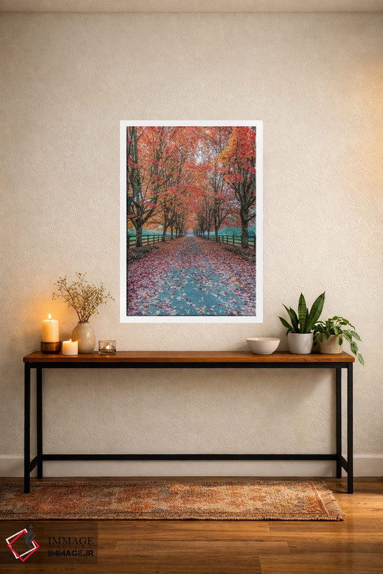 تابلو دکوراتیو Washington State, Snoqualmie. Autumn country lane.,آمریکا، ایا… اثر راب تیلی - D3W