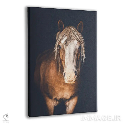 تابلو دکوراتیو بلژیکی اثر روپا ساتون - نمای پرسپکتیو محصول