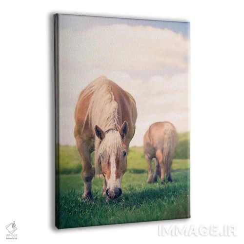 تابلو دکوراتیو چرا کردن اثر روپا ساتون - نمای پرسپکتیو محصول