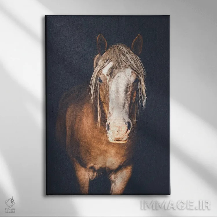 تابلو دکوراتیو بلژیکی اثر روپا ساتون - نمای روبهرو روی دیوار