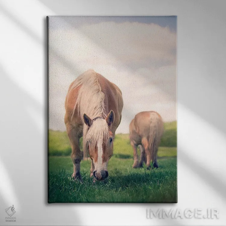 تابلو دکوراتیو چرا کردن اثر روپا ساتون - نمای روبهرو روی دیوار