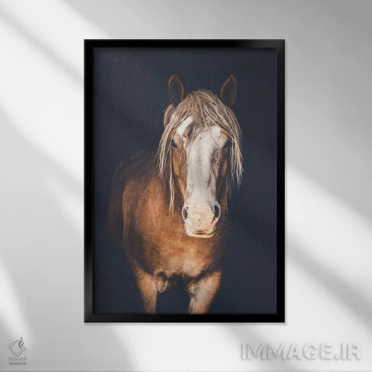 تابلو دکوراتیو بلژیکی اثر روپا ساتون - نمای قابدار مشکی