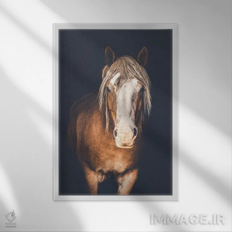 تابلو دکوراتیو بلژیکی اثر روپا ساتون - نمای قابدار سفید