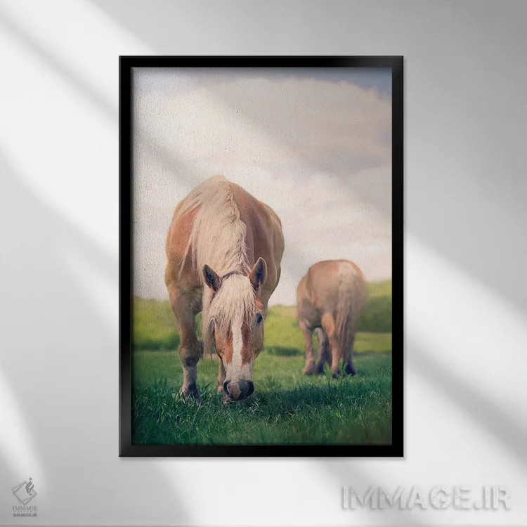 تابلو دکوراتیو چرا کردن اثر روپا ساتون - نمای قابدار مشکی