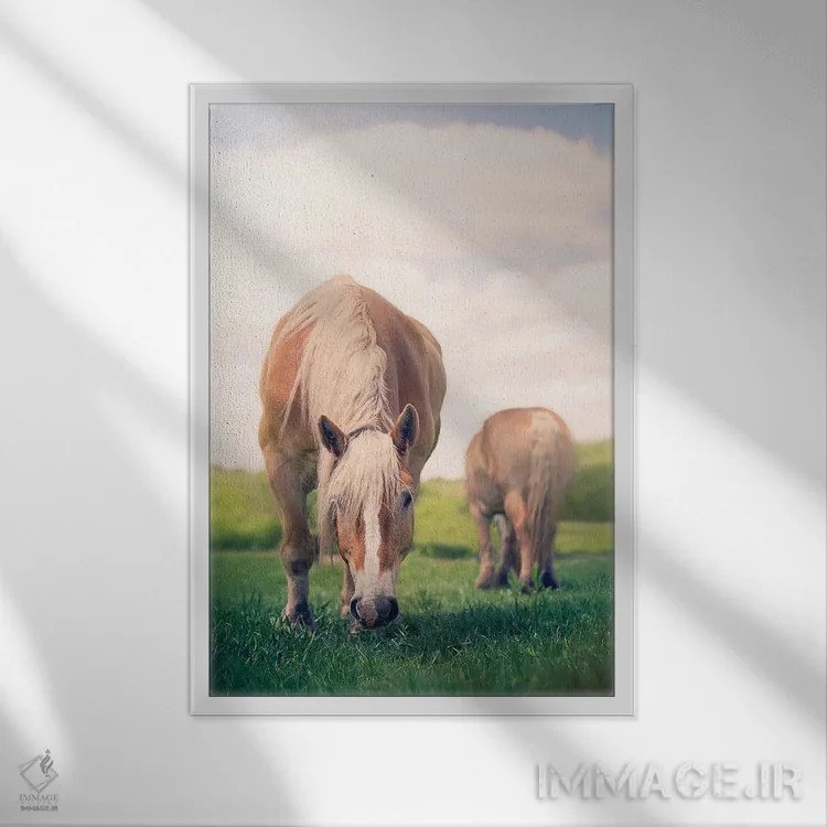 تابلو دکوراتیو چرا کردن اثر روپا ساتون - نمای قابدار سفید