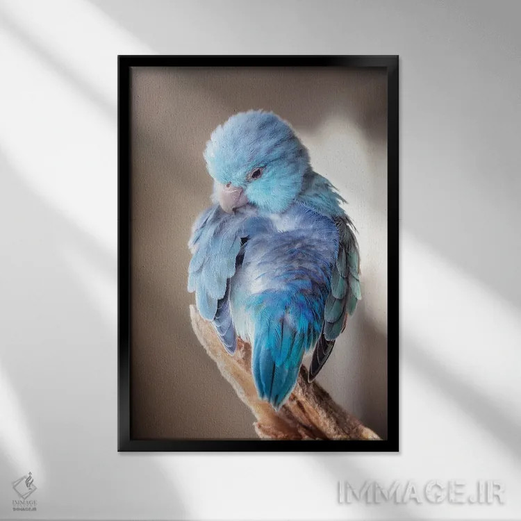 تابلو دکوراتیو آبی های بید اثر روپا ساتون - نمای قابدار مشکی