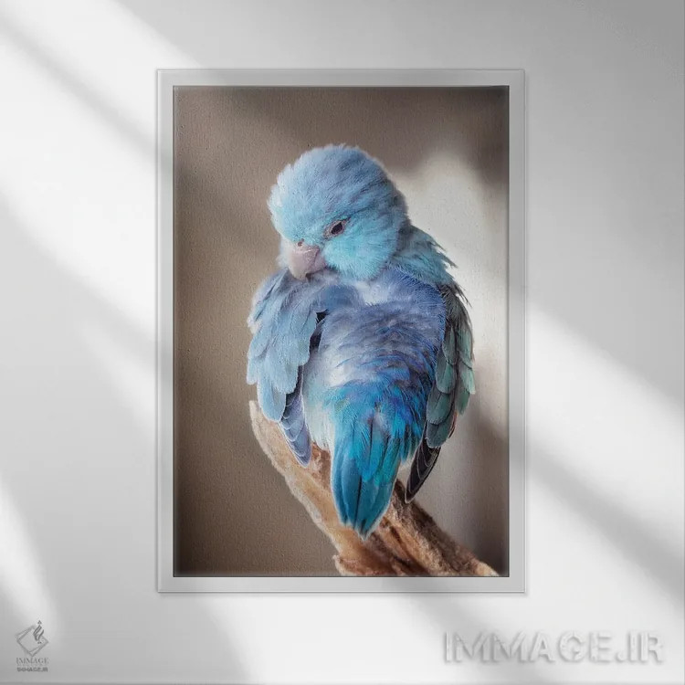 تابلو دکوراتیو آبی های بید اثر روپا ساتون - نمای قابدار سفید