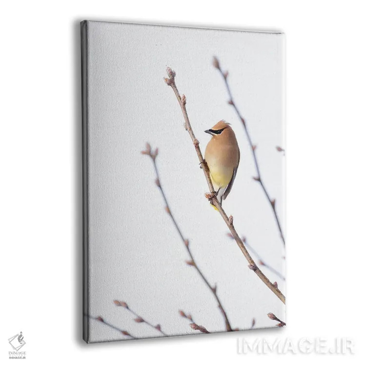 تابلو مینیمال طوقای سدروس I اثر روپا ساتون - نمای پرسپکتیو محصول