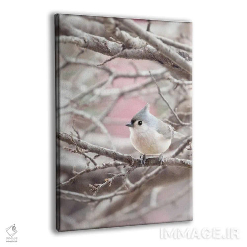 تابلو دکوراتیو چرخ ریسک کاکل دار اثر روپا ساتون - نمای پرسپکتیو محصول