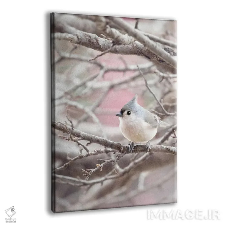 تابلو دکوراتیو چرخ ریسک کاکل دار اثر روپا ساتون - نمای پرسپکتیو محصول