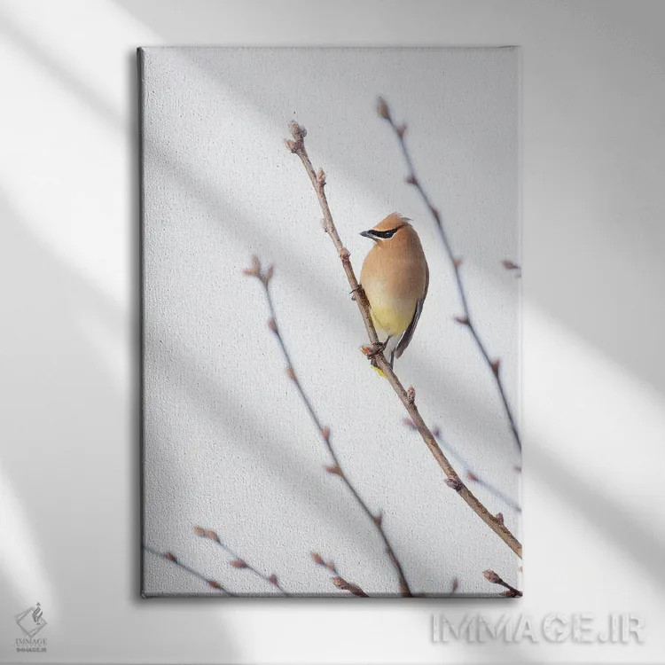 تابلو مینیمال طوقای سدروس I اثر روپا ساتون - نمای روبهرو روی دیوار