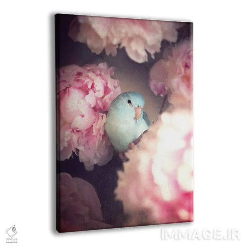 تابلو دکوراتیو گل صدتومانی I اثر روپا ساتون - نمای پرسپکتیو محصول