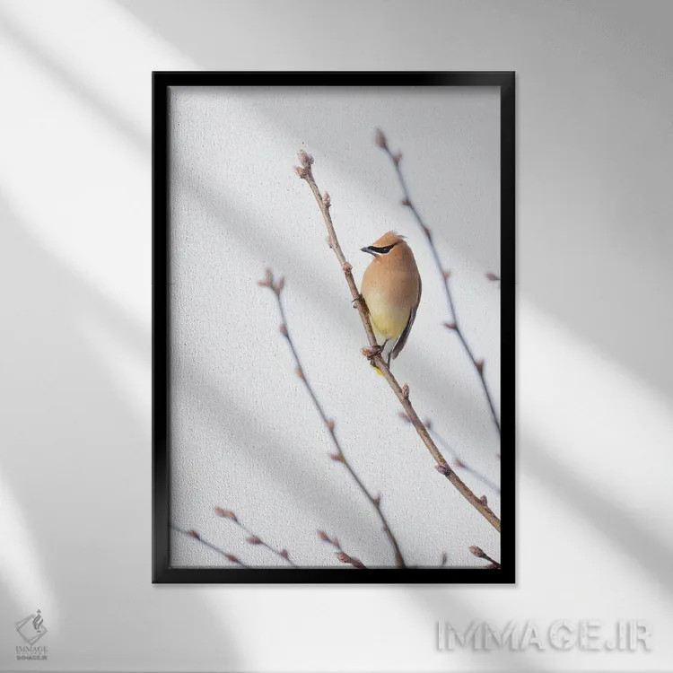 تابلو مینیمال طوقای سدروس I اثر روپا ساتون - نمای قابدار مشکی