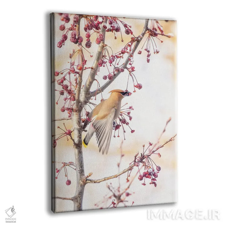 تابلو دکوراتیو طوقای سدروس II اثر روپا ساتون - نمای پرسپکتیو محصول