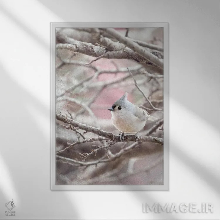 تابلو دکوراتیو چرخ ریسک کاکل دار اثر روپا ساتون - نمای قابدار سفید