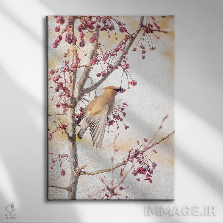 تابلو دکوراتیو طوقای سدروس II اثر روپا ساتون - نمای روبهرو روی دیوار