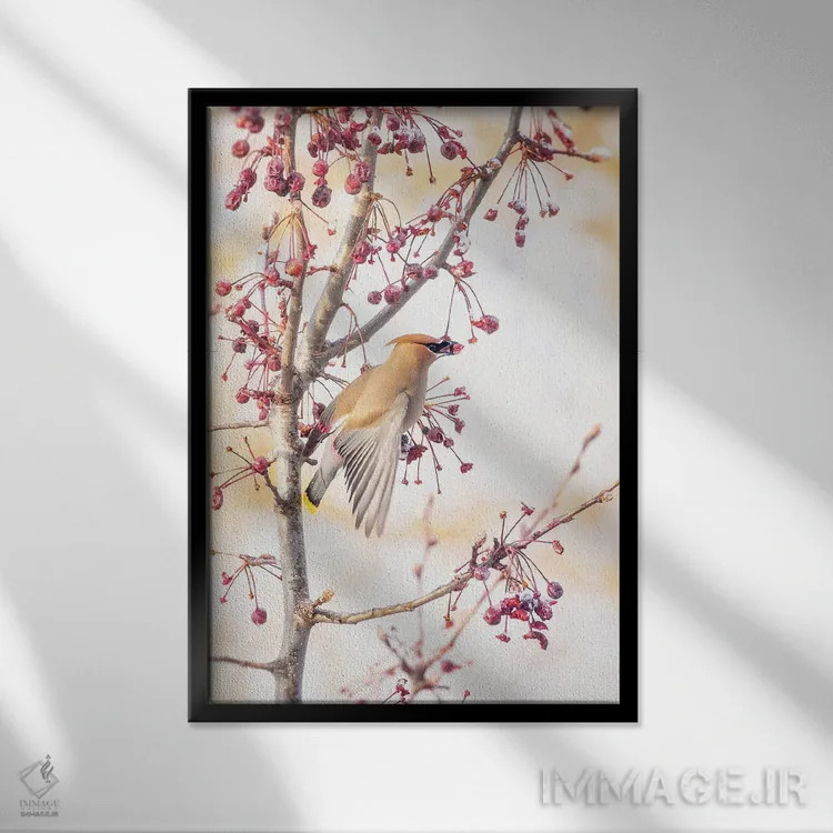 تابلو دکوراتیو طوقای سدروس II اثر روپا ساتون - نمای قابدار مشکی