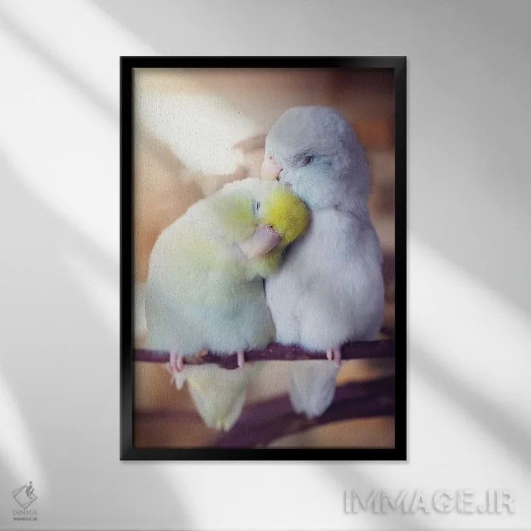 تابلو دکوراتیو شادی بی پایان اثر روپا ساتون - نمای قابدار مشکی