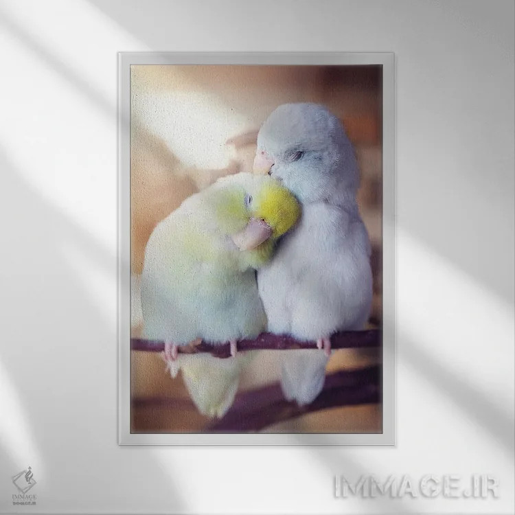 تابلو دکوراتیو شادی بی پایان اثر روپا ساتون - نمای قابدار سفید