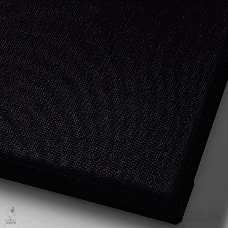 تابلو دکوراتیو غواص سیاه اثر ریچارد وروجز - نمای نزدیک بافت بوم