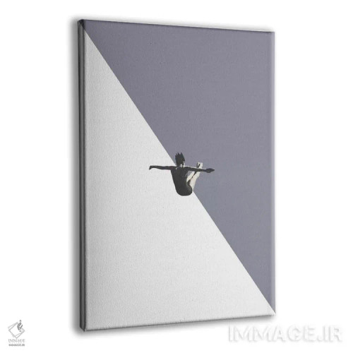 تابلو دکوراتیو غواص خاکستری اثر ریچارد وروجز - نمای پرسپکتیو محصول