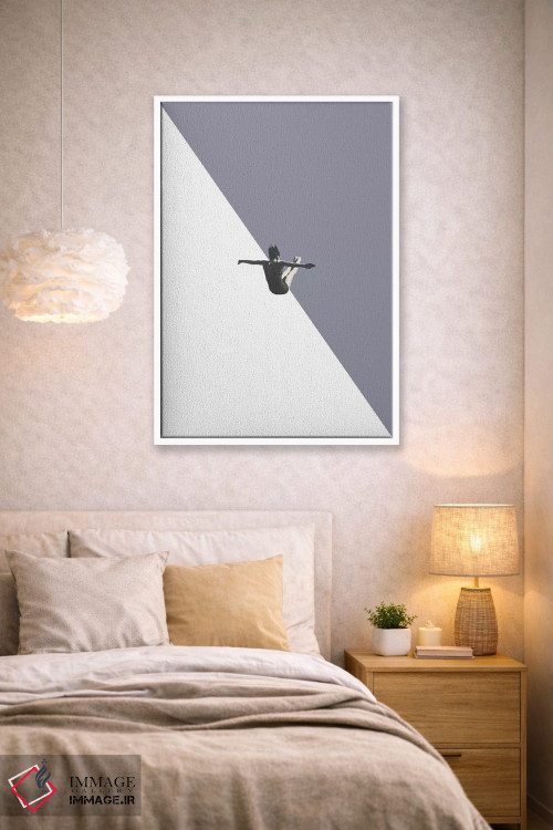 تابلو دکوراتیو غواص خاکستری اثر ریچارد وروجز - D1W