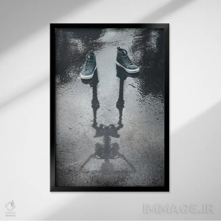 تابلو دکوراتیو روزی جایی اثر شاون رایکن - نمای قابدار مشکی