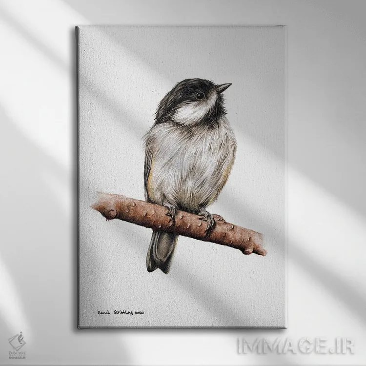 تابلو دکوراتیو چیکادی II اثر سارا استریبلینگ - نمای روبهرو روی دیوار