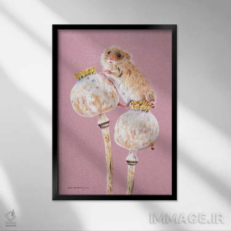 تابلو دکوراتیو موش مزرعه اثر سارا استریبلینگ - نمای قابدار مشکی