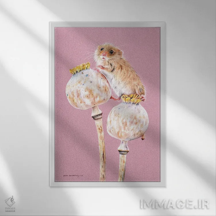 تابلو دکوراتیو موش مزرعه اثر سارا استریبلینگ - نمای قابدار سفید