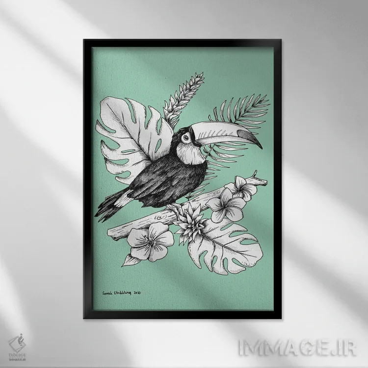 تابلو دکوراتیو توکان اثر سارا استریبلینگ - نمای قابدار مشکی