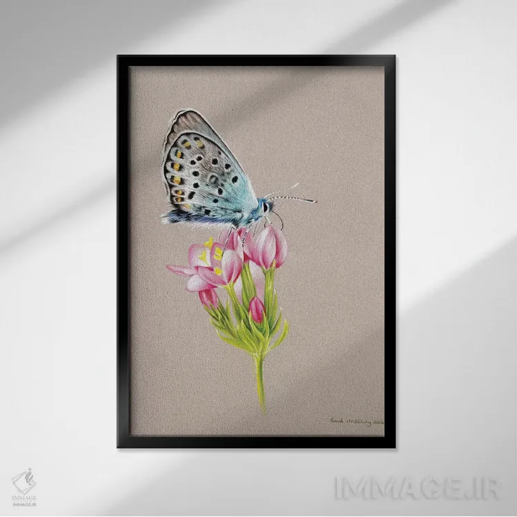تابلو دکوراتیو پروانه با رنگ بندی خاص اثر سارا استریبلینگ - نمای قابدار مشکی