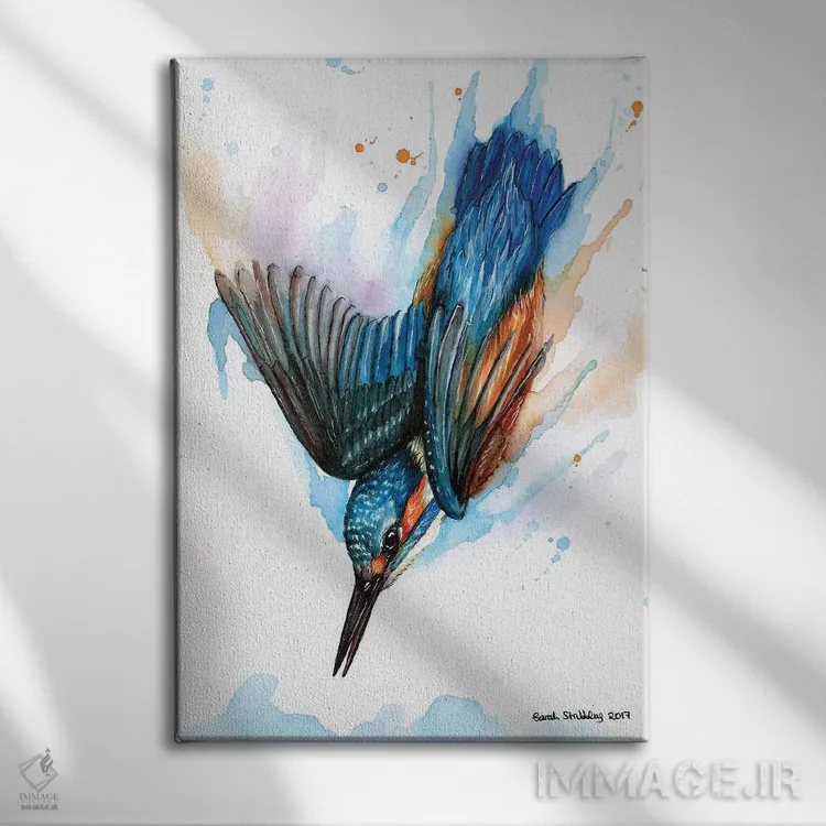 تابلو دکوراتیو ماهی خورک شیرجه زن II اثر سارا استریبلینگ - نمای روبهرو روی دیوار