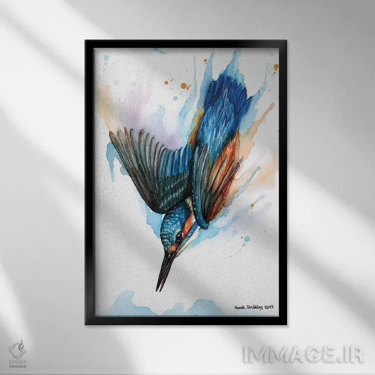تابلو دکوراتیو ماهی خورک شیرجه زن II اثر سارا استریبلینگ - نمای قابدار مشکی