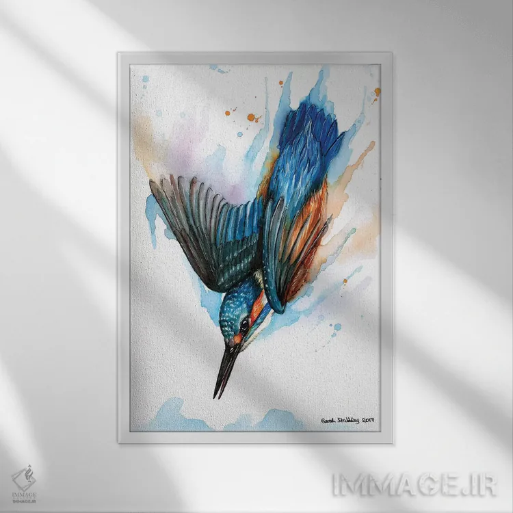 تابلو دکوراتیو ماهی خورک شیرجه زن II اثر سارا استریبلینگ - نمای قابدار سفید