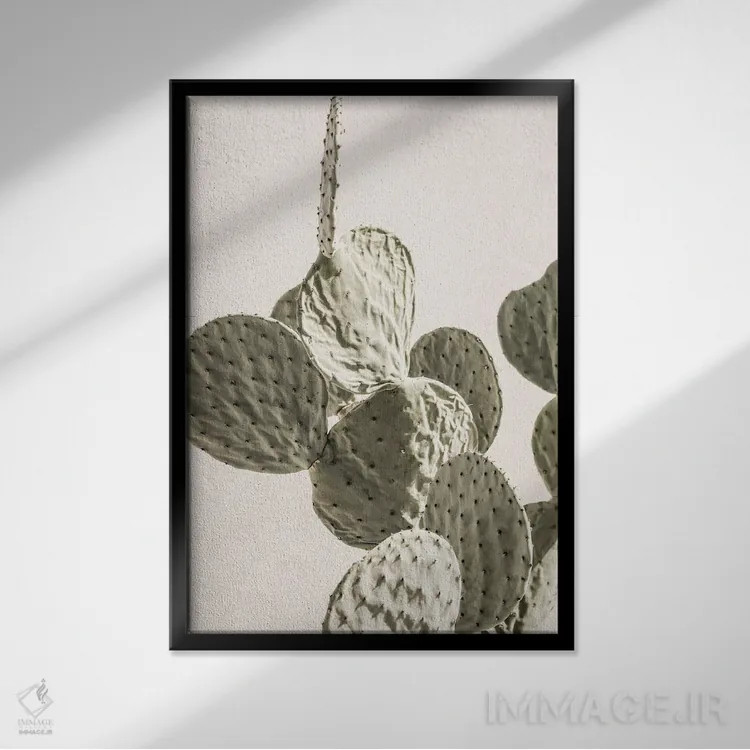 تابلو دکوراتیو کاکتوس مکزیکی ۲ اثر عکس های کلینت - نمای قابدار مشکی