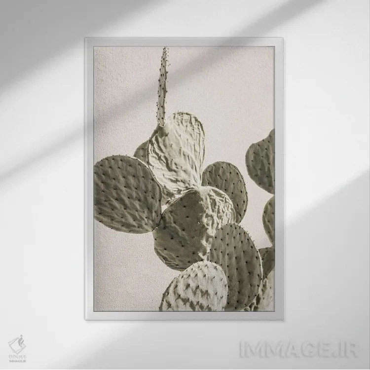 تابلو دکوراتیو کاکتوس مکزیکی ۲ اثر عکس های کلینت - نمای قابدار سفید