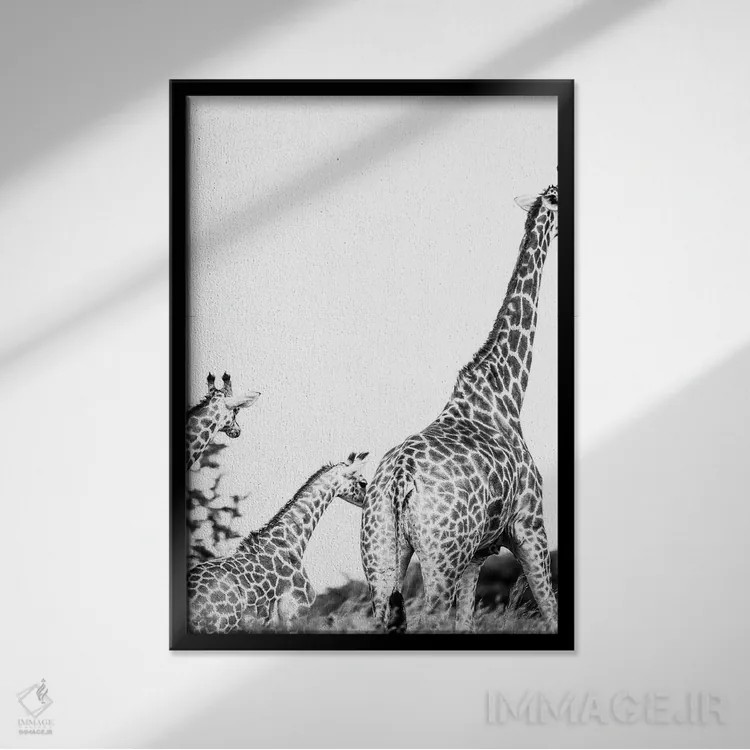 تابلو دکوراتیو فرزند مادر اثر عکس های کلینت - نمای قابدار مشکی