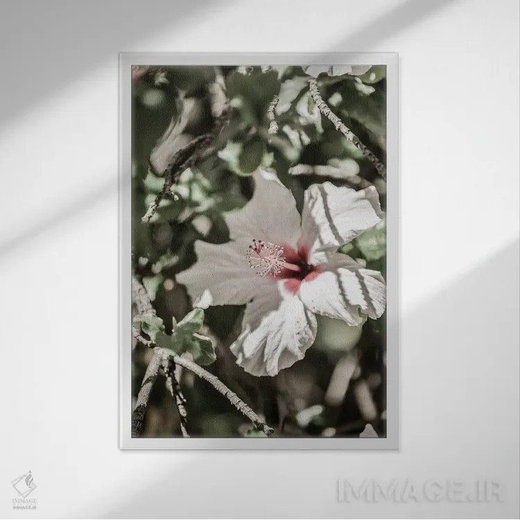 تابلو دکوراتیو گل ختمی صورتی کم رنگ اثر عکس های کلینت - نمای قابدار سفید