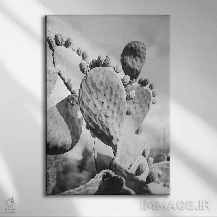 تابلو دکوراتیو کاکتوس گاوچران ۱ اثر عکس های کلینت - نمای روبهرو روی دیوار
