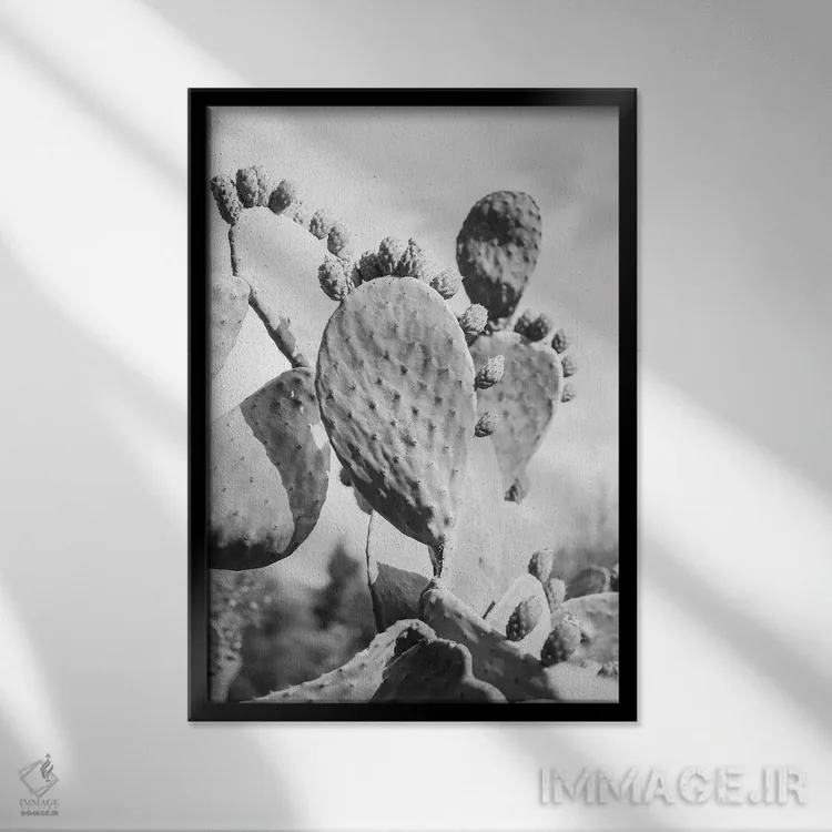 تابلو دکوراتیو کاکتوس گاوچران ۱ اثر عکس های کلینت - نمای قابدار مشکی
