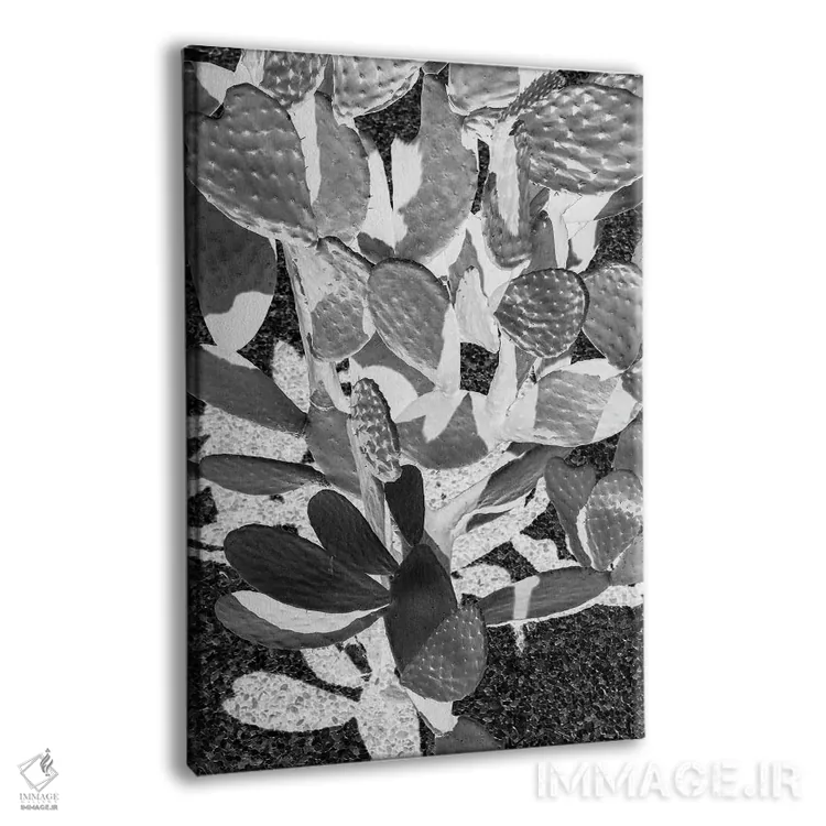 تابلو دکوراتیو کاکتوس کابوی ۲ اثر عکس های کلینت - نمای پرسپکتیو محصول