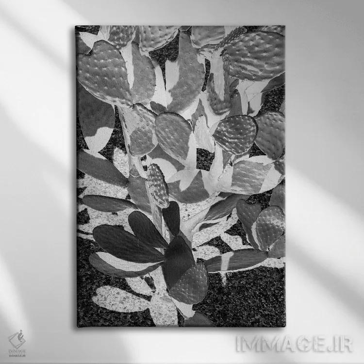 تابلو دکوراتیو کاکتوس کابوی ۲ اثر عکس های کلینت - نمای روبهرو روی دیوار