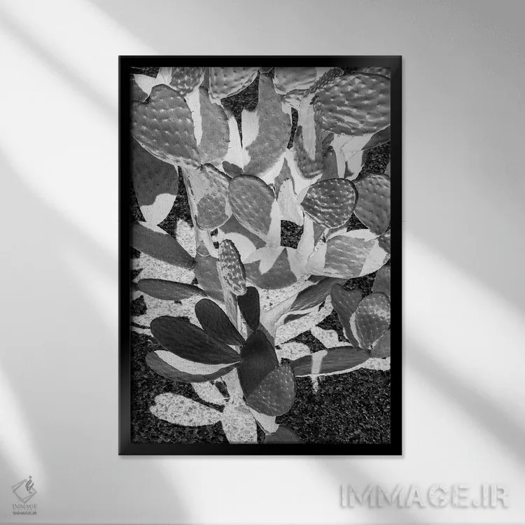 تابلو دکوراتیو کاکتوس کابوی ۲ اثر عکس های کلینت - نمای قابدار مشکی