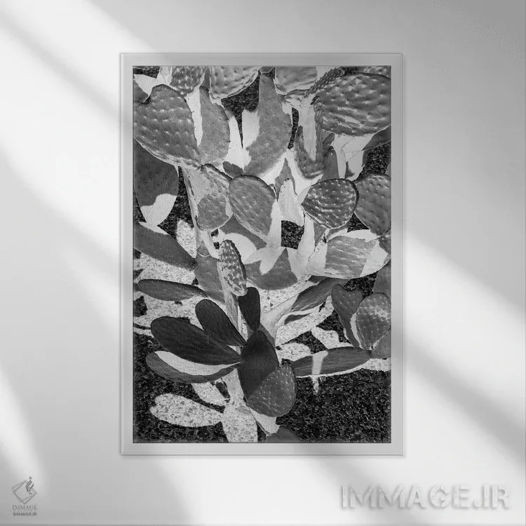 تابلو دکوراتیو کاکتوس کابوی ۲ اثر عکس های کلینت - نمای قابدار سفید
