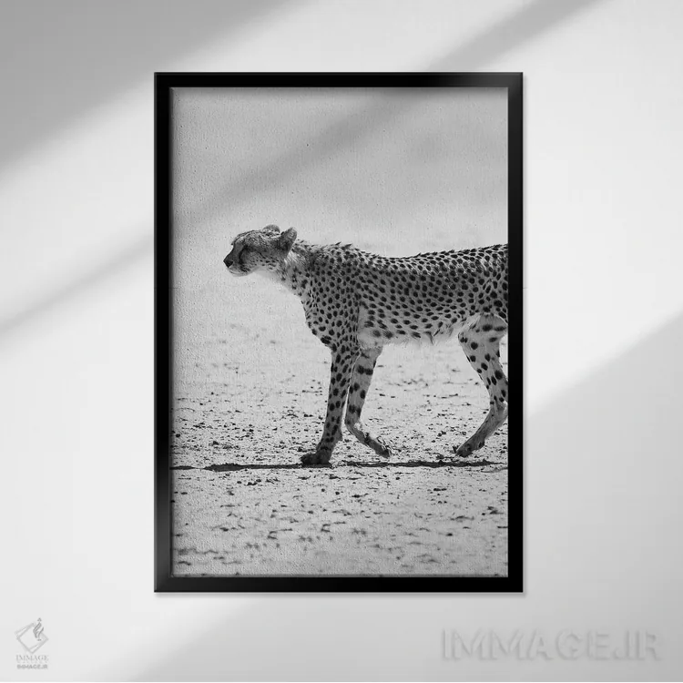 تابلو دکوراتیو یوزپلنگ اثر عکس های کلینت - نمای قابدار مشکی